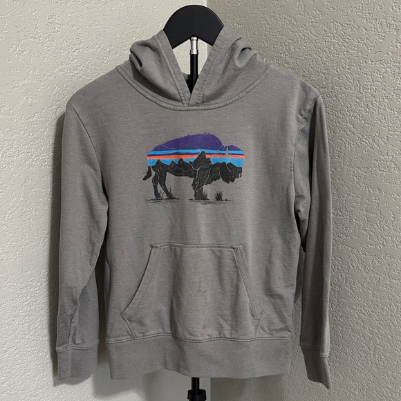 Patagonia Other - Patagonia youth Gray Hoodie with Buffalo